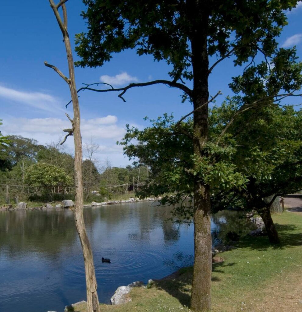 Hotels Near Fota Wildlife Park Great National Hotel Cork